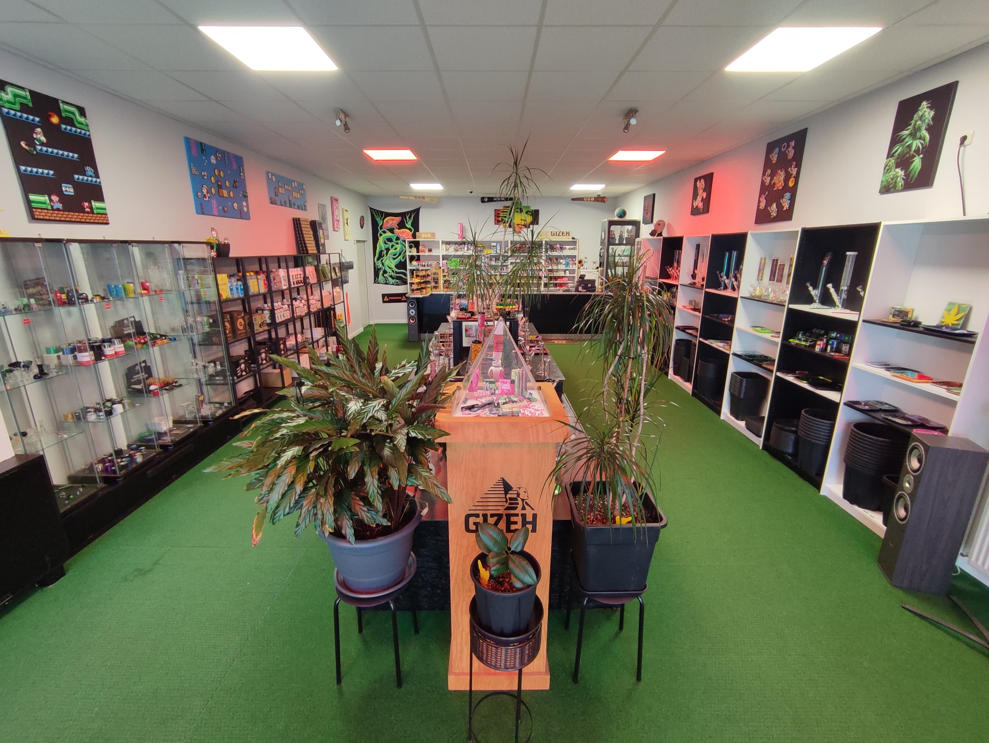 Headshop Rostock & MV: HdPoint Headshop Rostock & MV: HdPoint